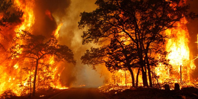 Does Homeowners Insurance Cover Wildfires? That's The Burning Issue